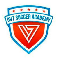 dv7-soccer-academy-logo